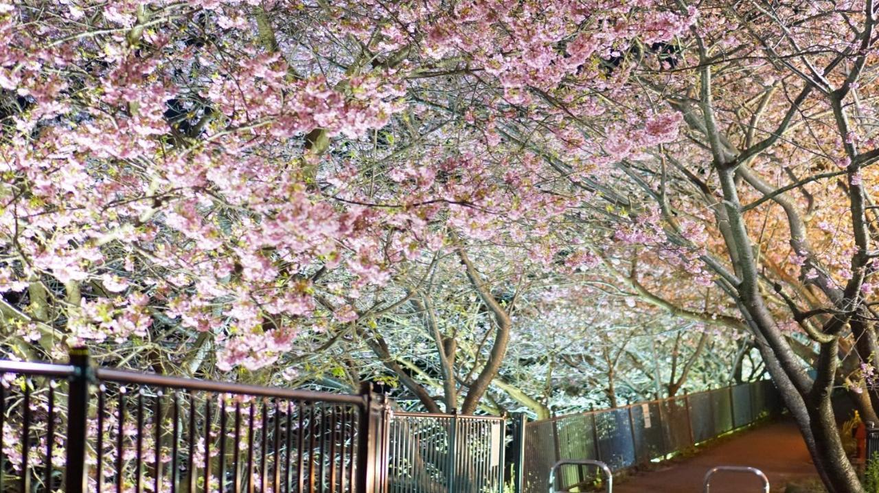 Zen No Yu Hotel Kawazu Exterior foto